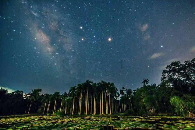 星际争霸2